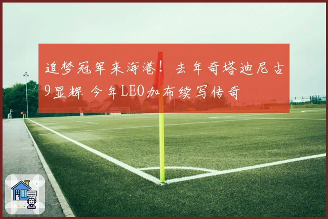 追梦冠军来海港！去年奇塔迪尼古9显辉 今年LEO加布续写传奇